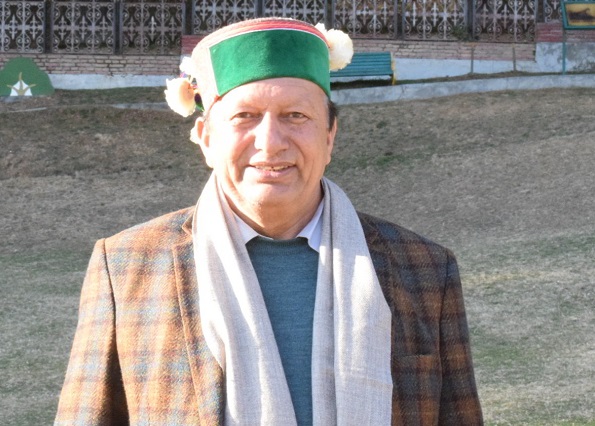 Forest Development Corporation Vice President